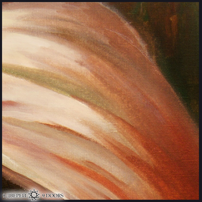 ������ � ��� - �������.���